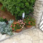 Pralija * Zaboric