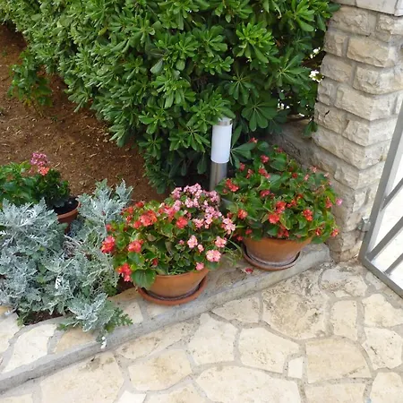 Pralija * زابوريتش